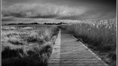 How to approach a career re-evaluation