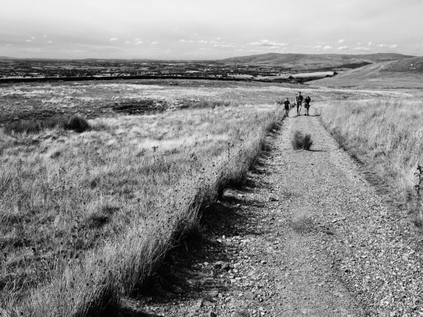 Career planning: less stick, more carrot