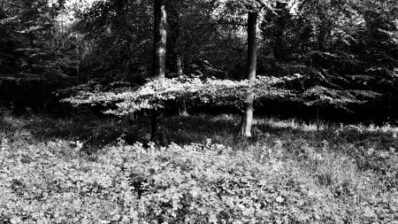 Nice | End of Life care