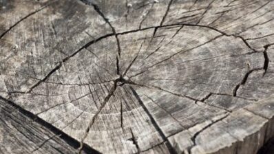 Nice | Percutaneous treatment of intervertebral discs for back pain