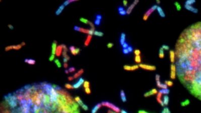 Testing for Lynch syndrome in people newly diagnosed with endometrial cancer