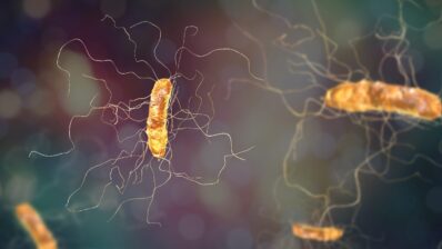 C.diff and antimicrobials in GP (2021 update)