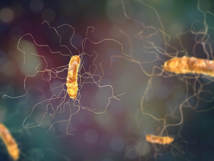 C.diff and antimicrobials in GP (2021 update)