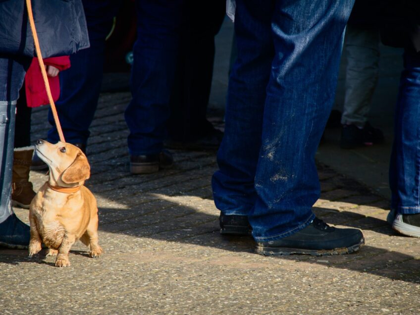 GPs delivered 26% more face-to-face appointments in September