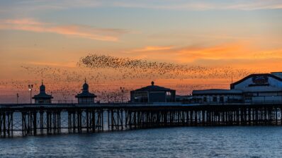 GPs spread thin across the UK, new analysis shows