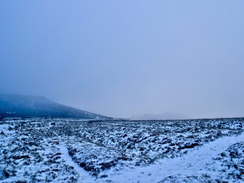 GPs forecasting an ‘apocalyptic’ winter for primary care